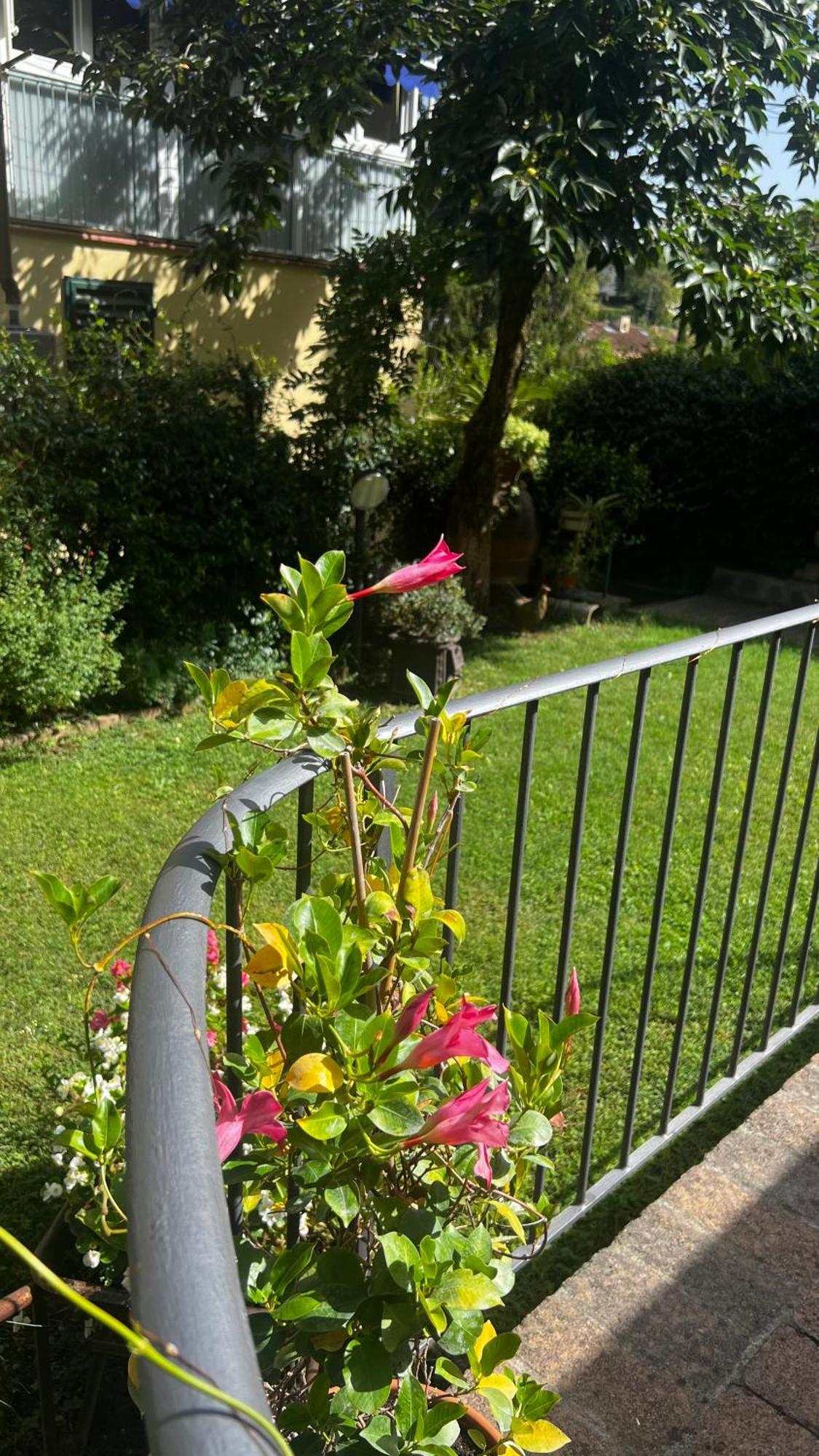La Serra Sognante, Un Rifugio Incantevole Tra Natura E Relax Florenz Exterior foto