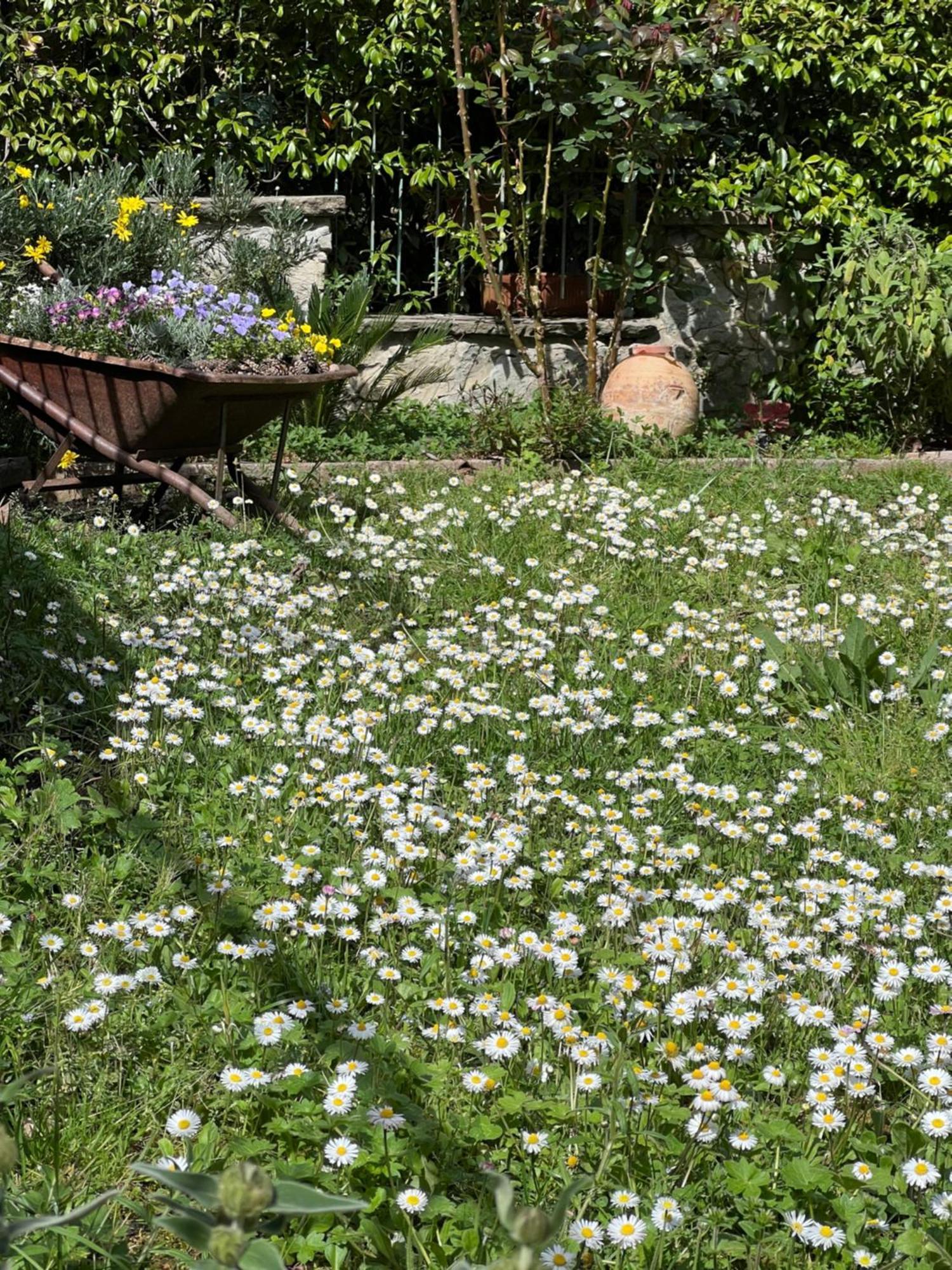La Serra Sognante, Un Rifugio Incantevole Tra Natura E Relax Florenz Exterior foto